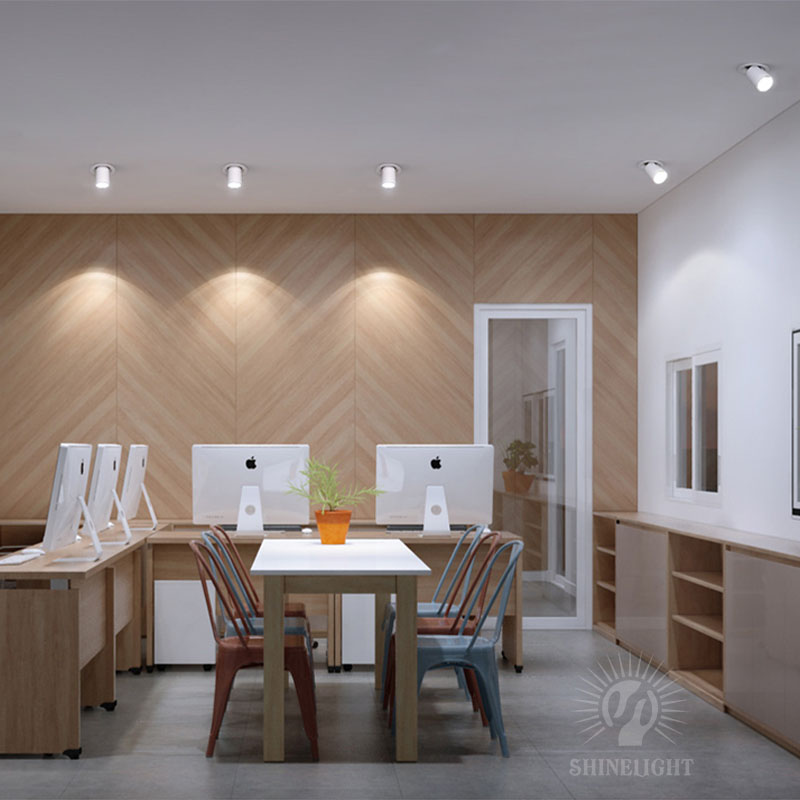 Đèn âm trần SLAT10 - Hình ảnh 6