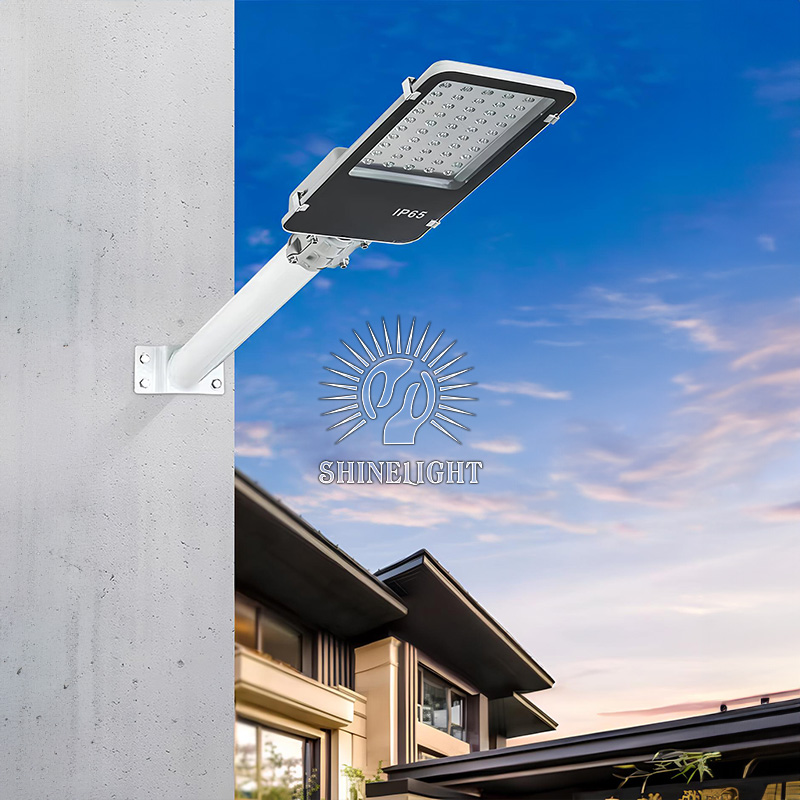 Đèn cao áp Datini 60W - Hình ảnh 4