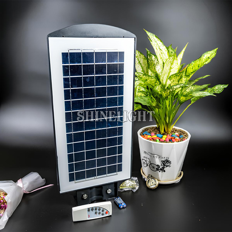 Đèn đường năng lượng mặt trời SL-D60PY - Hình ảnh 3