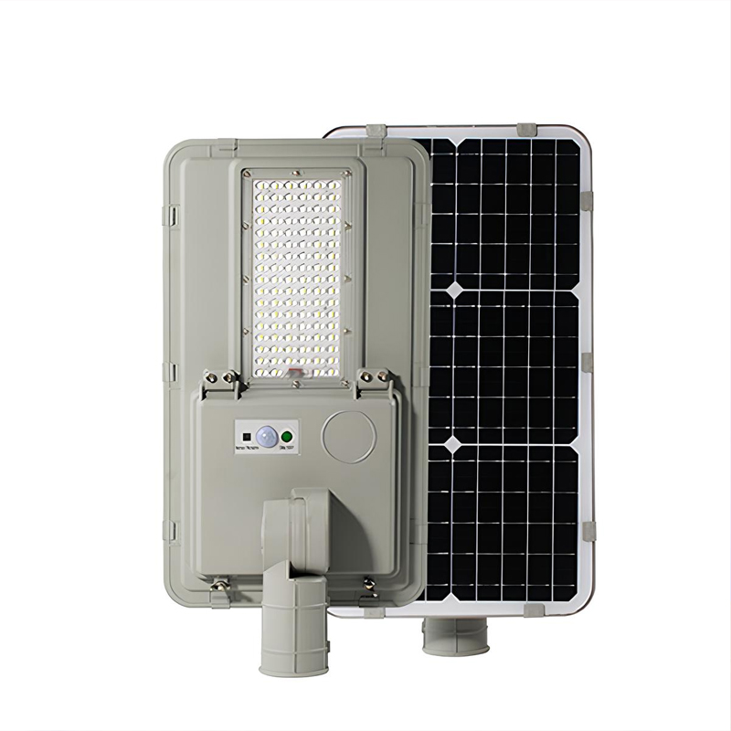 Đèn đường năng lượng mặt trời SL-D100PZ