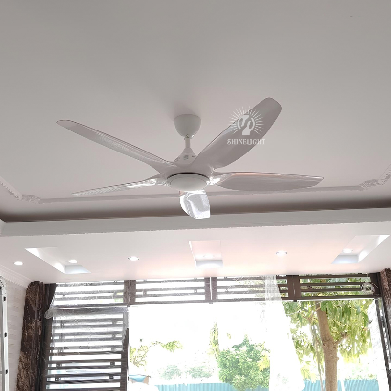 Quạt trần đèn SL441 - Hình ảnh 4