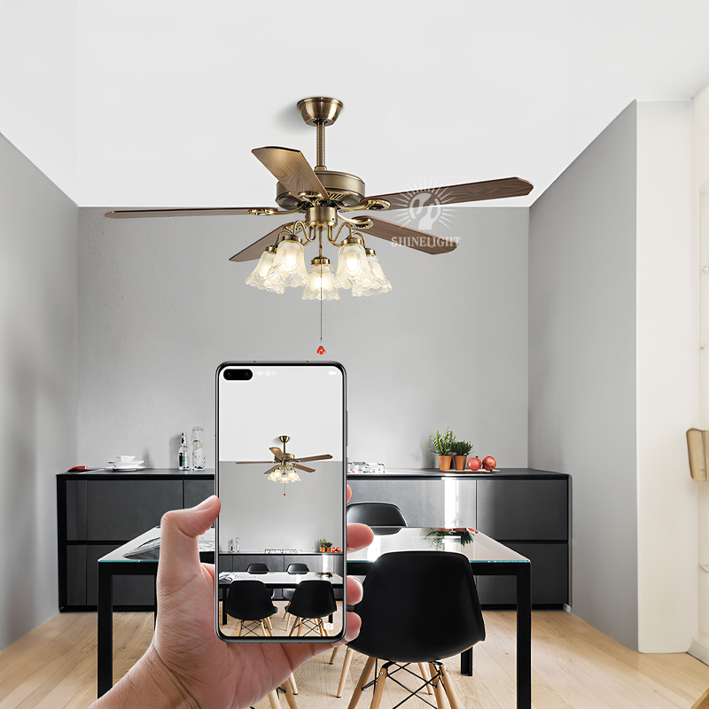 Quạt trần đèn SL102 - Hình ảnh 6