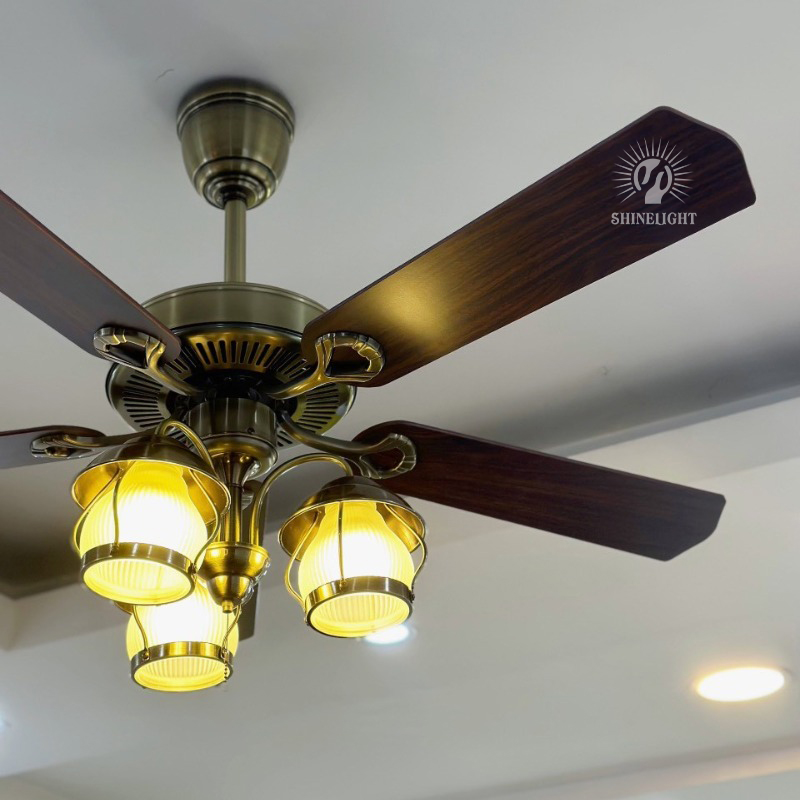 Quạt trần đèn SL104 - Hình ảnh 5