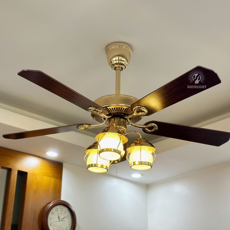 Quạt trần đèn SL104 - Hình ảnh 7