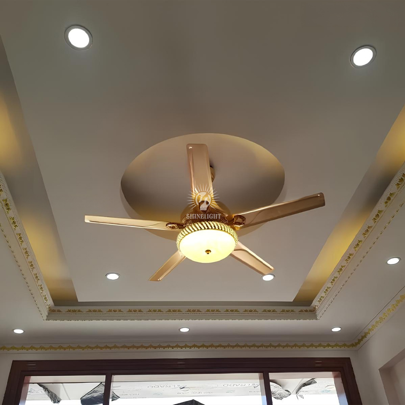 Quạt trần đèn SL107 - Hình ảnh 8