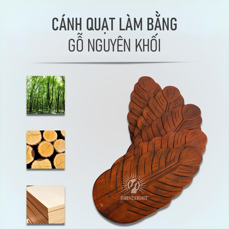 Quạt trần đèn SL167 - Hình ảnh 5