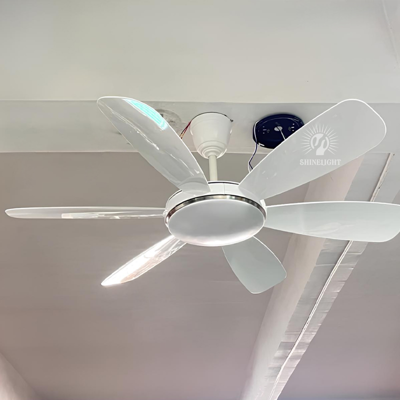 Quạt trần đèn SL213 - Hình ảnh 2