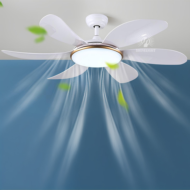 Quạt trần đèn SL218 - Hình ảnh 6