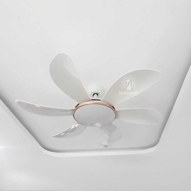 Quạt trần đèn SL218 - Hình ảnh 2