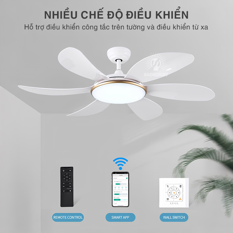 Quạt trần đèn SL218 - Hình ảnh 5